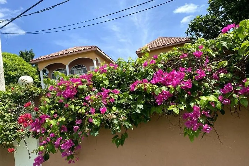 Yanceylargo Estate - Newly Renovated 7Br Beautiful Two-Story W Gorgeous Mountain View Villa 蒙特哥贝 0*,