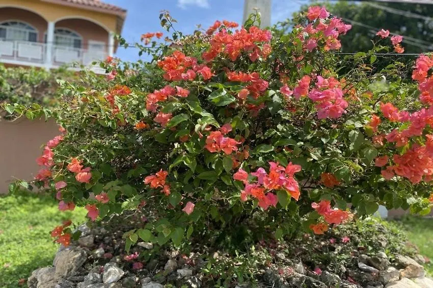 Yanceylargo Estate - Newly Renovated 7Br Beautiful Two-Story W Gorgeous Mountain View Villa 蒙特哥贝