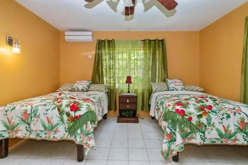 Yanceylargo Estate - Newly Renovated 7Br Beautiful Two-Story W Gorgeous Mountain View Villa 蒙特哥贝