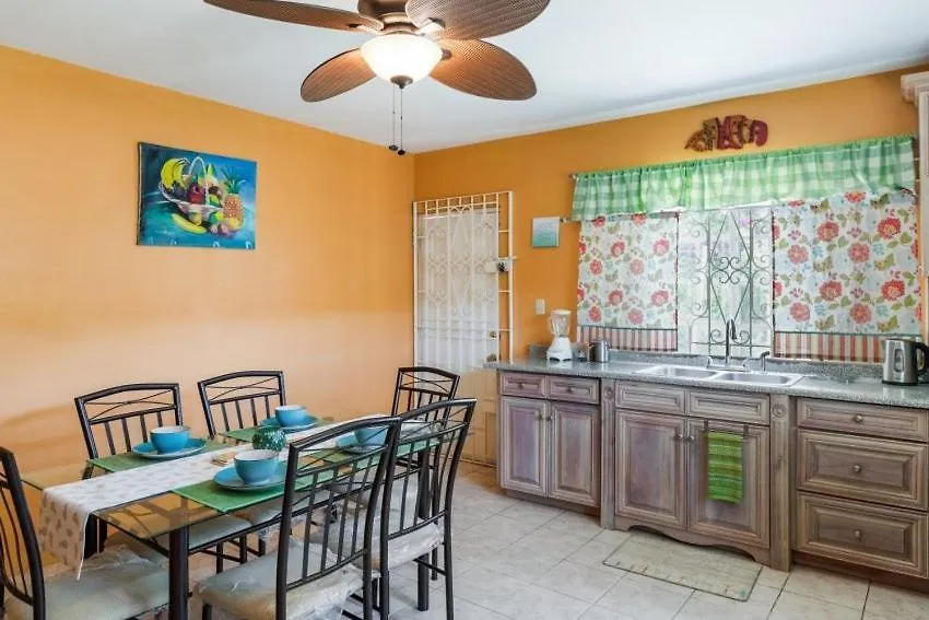 Yanceylargo Estate - Newly Renovated 7Br Beautiful Two-Story W Gorgeous Mountain View Villa 蒙特哥贝